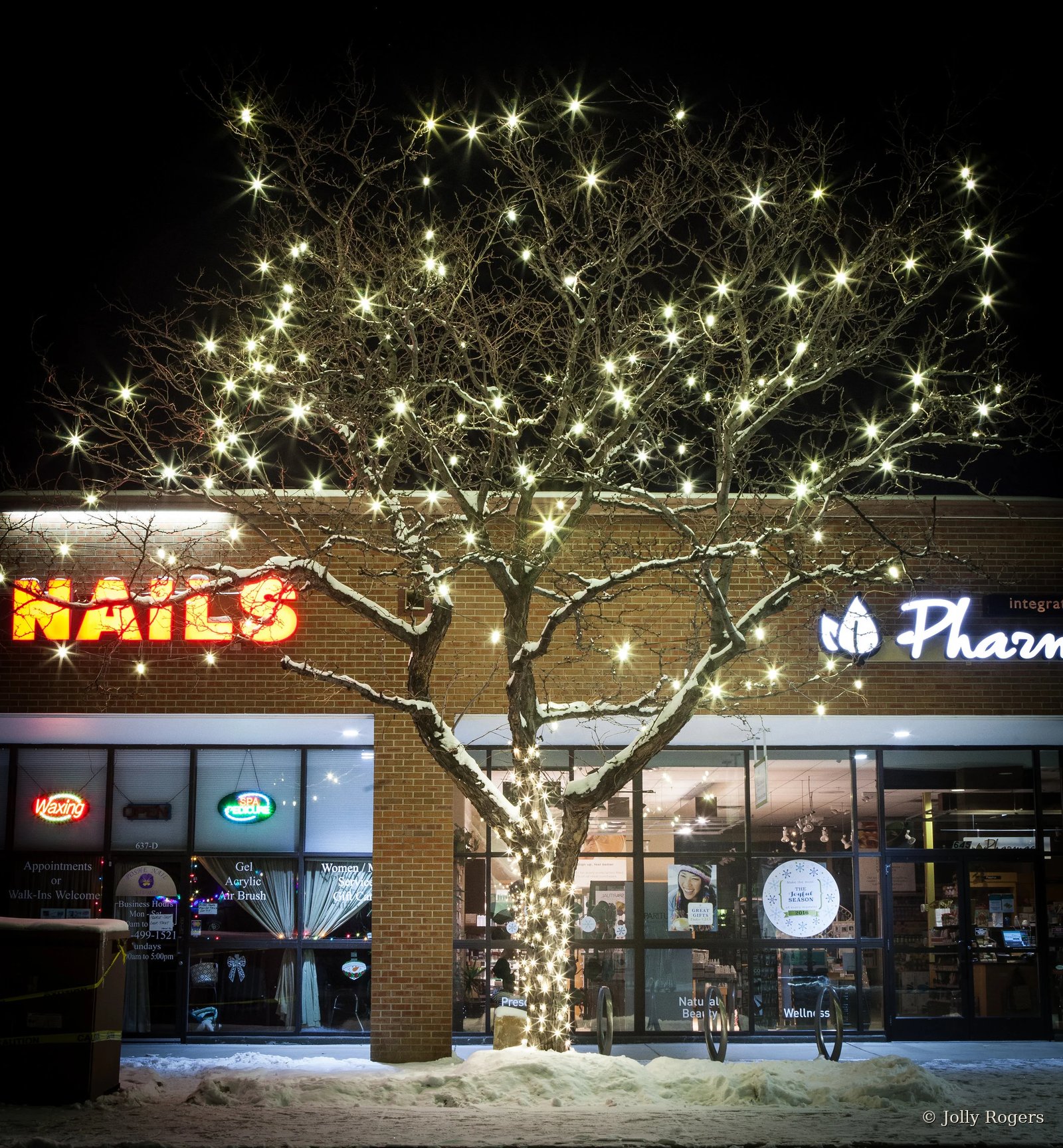 Retail storefront tree wrapping warm white lights