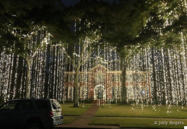 Cascading tree lights luxury estate holiday display