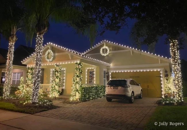 Palm tree wrapping and roofline Christmas lights Florida home
