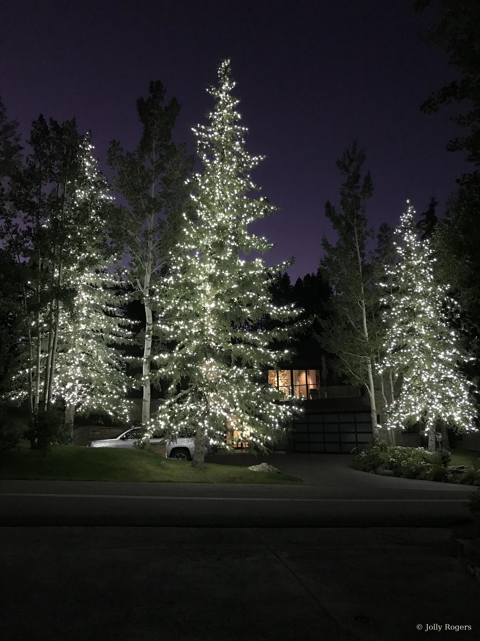 Full tree wrapping warm white lights mountain home